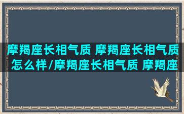 摩羯座长相气质 摩羯座长相气质怎么样/摩羯座长相气质 摩羯座长相气质怎么样-我的网站